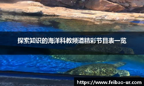 探索知识的海洋科教频道精彩节目表一览